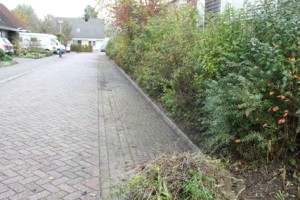 Afbeelding 133klein