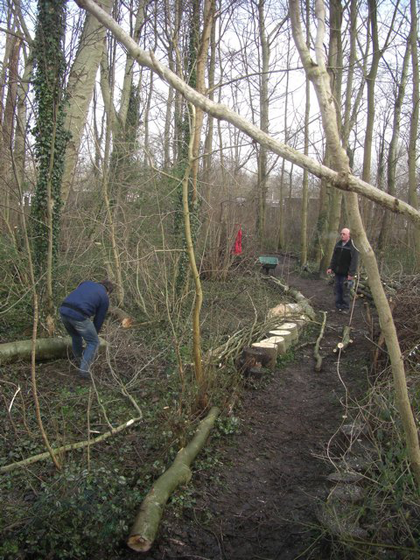 Vogelbos werkdag 28-01-2012 04