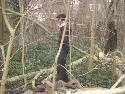 Vogelbos werkdag 28-01-2012 07