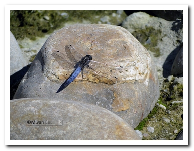 gew.oever (m) nB3280