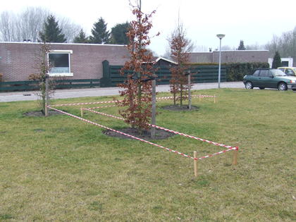 kunstwerk uitgezet feb2012 2