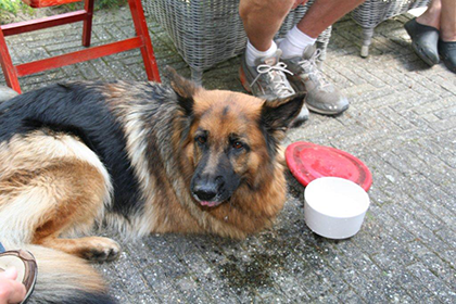 wijkwerkochtend 2641