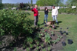 2013-05-11 16.29.43klein