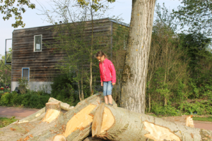 Foto 35...komt spelen!