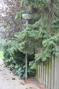 Afbeelding 025 op de grens van prive en privaat