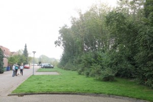 Afbeelding 026 bosrand, houden zo!