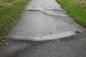 Afbeelding 053 ten westen van de plek waar niet gebouwd mag worden