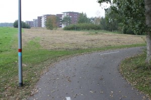 Afbeelding 054vlinderweide gemaaid