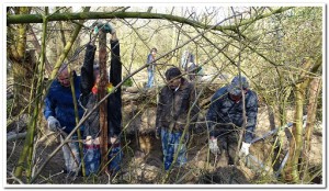 DSC04054trees drukt ze de grond in