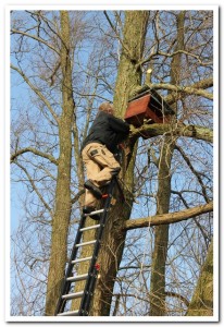 De nieuwe Valkenkist.