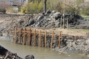 IMG_7544raamwerk ijsvogelwand