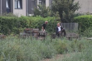 IMG_8068op de ijsvogel spot plek.