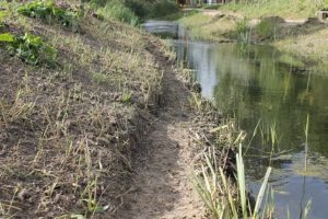 img_8821beheer-paadje-eiland