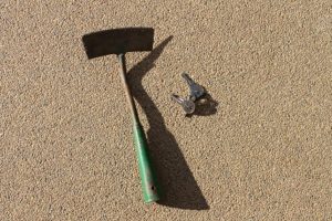 img_8884gevonden-bij-de-kwelbeek