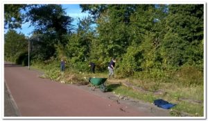 wp_20161008_10_26_28_pro1