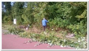 wp_20161008_12_00_37_pro1